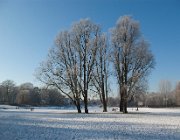 Schaatsen op de Klinkenbeltskolk, Deventer  (c) Henk Melenhorst : sneeuw, winter